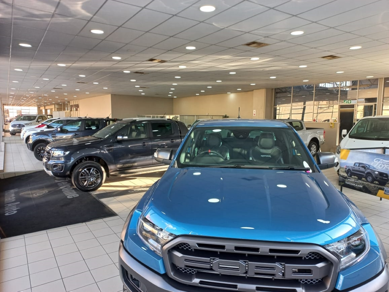 PG Human Ford4