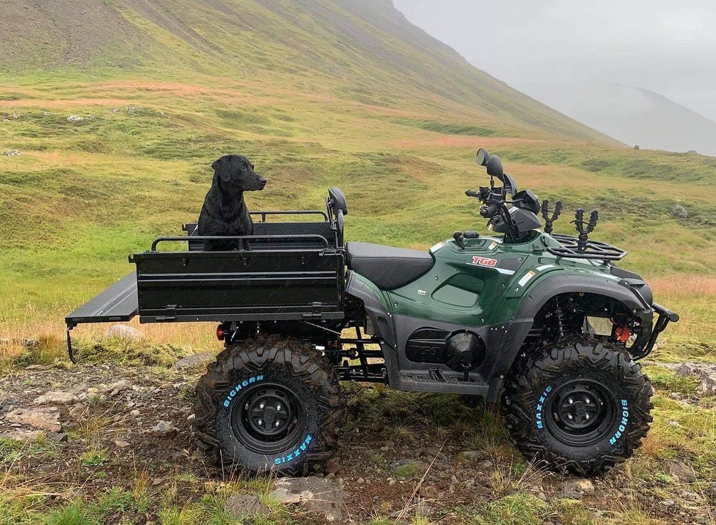 TGB ATV 4 600