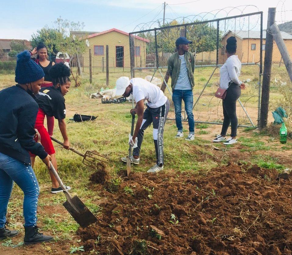 WSU Greenfields Farming Project organic farming Main image