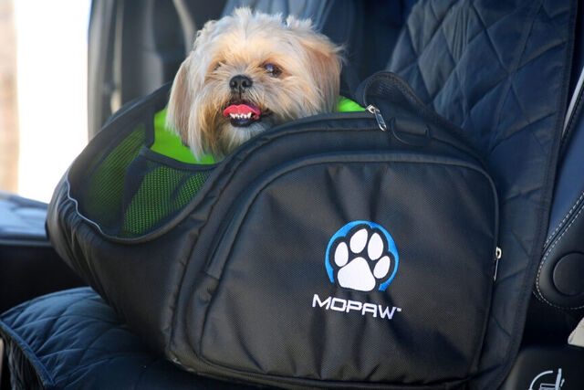 26 Mopaw1